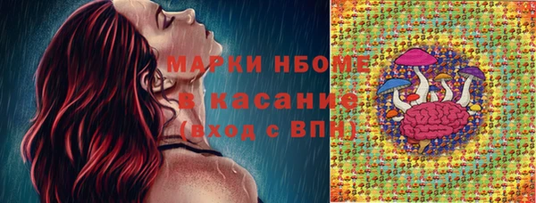 сатива Алзамай