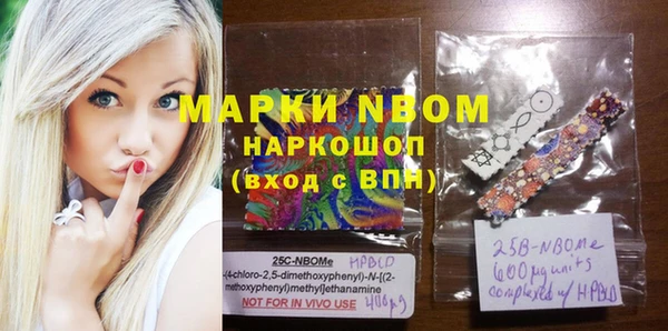 дмт Пестово