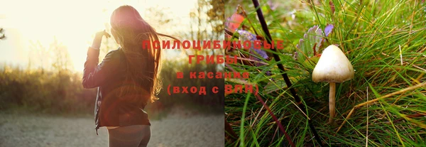 круглые Переславль-Залесский