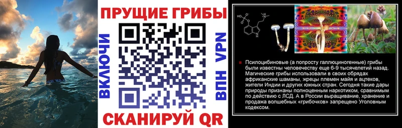 Псилоцибиновые грибы ЛСД  omg ссылки  Гагарин 